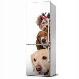 mata-magnetyczna-na-lodowke-psy-i-koty-60x180