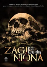 e-book-zaginiona