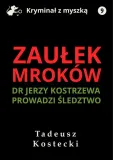 e-book-zaulek-mrokow