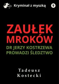 e-book-zaulek-mrokow