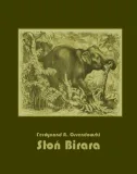 e-book-slon-birara