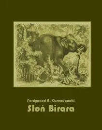 e-book-slon-birara