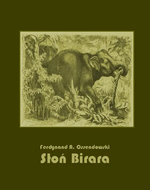 e-book-slon-birara
