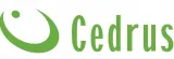nar-dmuchawa-spalinowa-cedrus-ceddm04-europejski-standard-emisji-spalin-euro-5