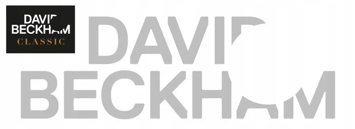 david-beckham-zestaw-classic-dns-deo150-przeznaczenie-do-ciala