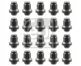 nakretka-kola-toyota-land-cruiser-febi