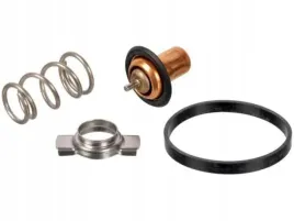 febi-bilstein-173111-termostat-plyn-chlodzacy