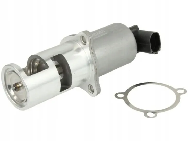 zawor-egr-renault-19dci-typ-samochodu-samochody-osobowe