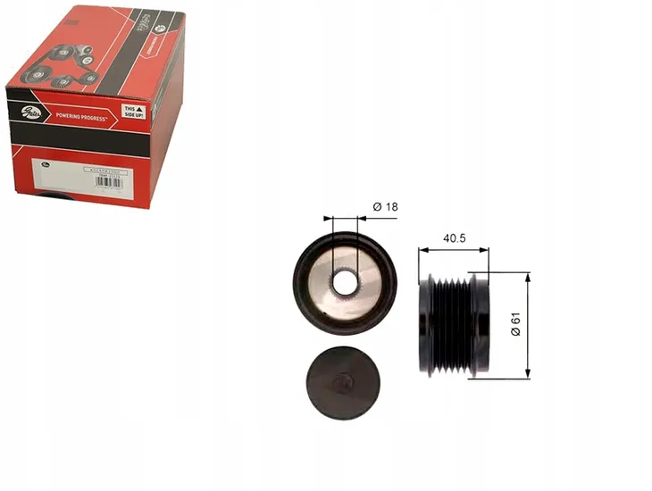 sprzegielko-alternatora-gates-numery-katalogowe-zamiennikow-a-z-meisterteile-azmt-49-036-1539-akron-malo-1580118-akron-malo-23517-autokit-03-81648-autoteam-a08324-bte-803920-casco-ccp92118as-casco-ccp92118gs-dayco-alp2445-ijs-group-30-1217-itab-automotive-21192118av-itab-automotive-21192118ov-km-international-fi20810-maxgear-30-0301-ridex-1390f0102-ruville-542349-skf-vkm-03110-trucktec-automotive-07-17-121-wai-24-91324-zentparts-z67735