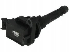 cewka-zaplonowa-ngk-48116