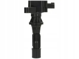 cewka-zaplonowa-delphi-gn10499-12b1