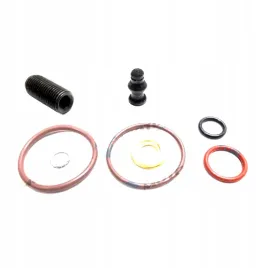 zestaw-naprawczy-pompowtrysk-dr-motor-drm006l