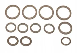 zestaw-uszczelek-klimatyzacji-12-sztuk-renault-dr-motor-automotive-drm01123