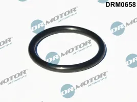 uszczelka-turbosprezarki-fiat-ducato-23jtd-06-dr-motor-automotive-drm0658