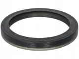 zimering-w-korb-t-vw-25-05-