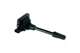 cewka-zaplonowa-delphi-gn10493-12b1