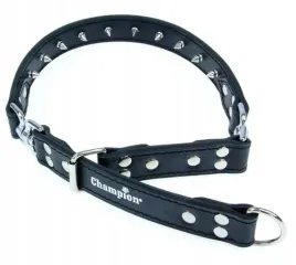 skorzana-obroza-dlawiaca-dla-ciagnacego-psa-champion-60-75cm-30cm