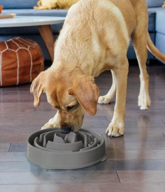 outward-hound-fun-feeder-miska-szara-69892