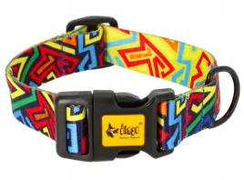 wytrzymala-obroza-dla-psa-z-regulacja-35-55cm-dingo-city-graffiti-3cm