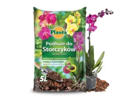 podloze-do-storczykow-planta-5l