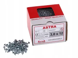 wkret-astra-3x12-do-drewna-ocynk-bialy-1000-szt