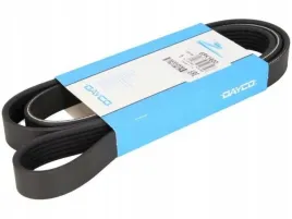 dayco-6pk1600-pasek-klinowy-wielorowkowy