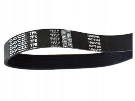 pasek-wzdl-iveco-daily-ii-02-greatervw-t4-95-00-dayco