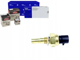 delphi-ts10254-czujnik-temperatura-plynu-chlodzacego