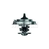 termostat-ford-28-95-