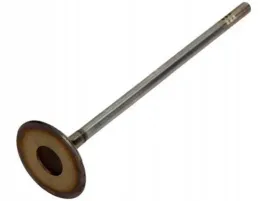 zawor-ss-opel-astra-16-06-mahle-011-ve-31948-000