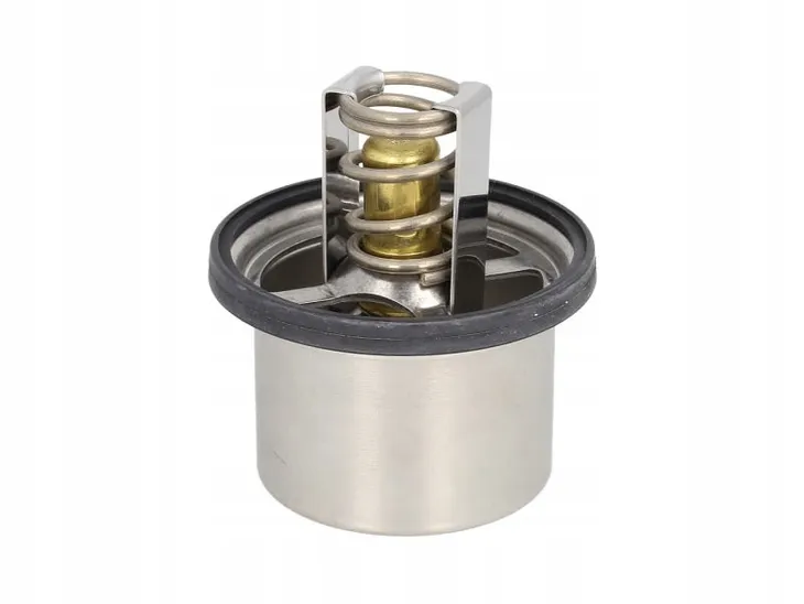 termostat-srodka-chlodzacego-waga-z-opakowaniem-0-22-kg