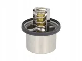 termostat-srodka-chlodzacego-waga-z-opakowaniem-0-22-kg