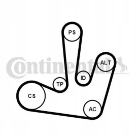 zestaw-paska-wielorowk-renault-19dci-20-laguna-ii-continental-6pk1795k1