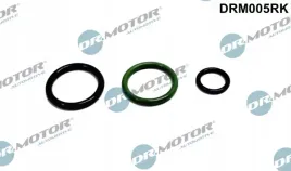 zestaw-napr-pompowtryskiwacza-vw-dr-motor-automotive-drm005rk