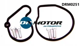 zestaw-napr-pompy-dr-motor-automotive-drm0251