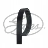 pasek-wielorowkowy-gates-gates-5pk1570-gates-typ-silnika-benzyna