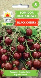nasiona-pomidor-black-cherry-03g