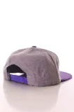 official-absofuckinglutely-snapback-stan-nowy