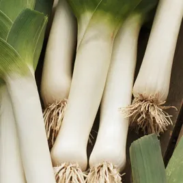 por-carentan-3-pozny-doskonaly-do-zimowania-w-gruncie-nasiona-warzyw