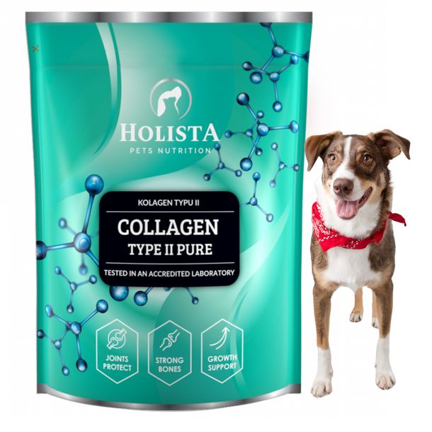 Zdjęcia - Karm dla psów Pure Holista Kolagen Collagen Type II  600g Odbudowa Stawów Dysplazja 