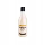 stapiz-basic-salon-szampon-brzoskwiniowy-1000ml-stan-nowy
