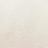 pylek-do-paznokci-shell-effect-allepaznokcie-1-g-nr-4