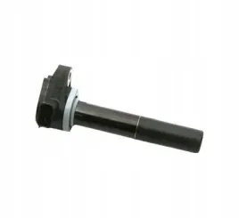 cewka-zaplonowa-delphi-gn10168-11b1