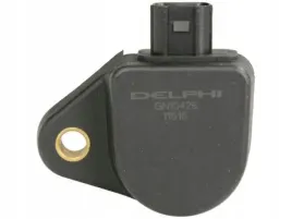 cewka-zaplonowa-delphi-gn10426-12b1