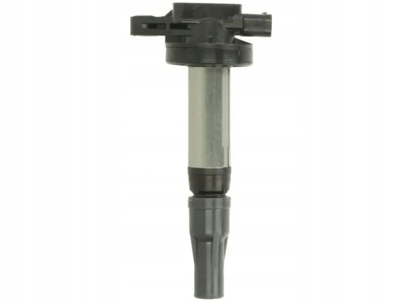 cewka-zaplonowa-delphi-gn10448-12b1