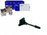 cewka-zaplonowa-delphi-gn10493-12b1-stan-nowy