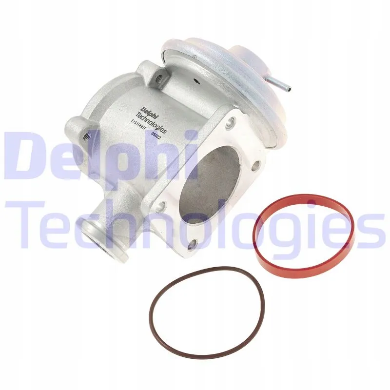 delphi-eg10657-12b1-zawor-agr