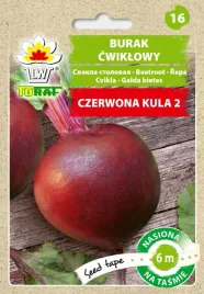 burak-czerwona-kula-nasiona-tasma-6m-toraf