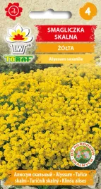 smagliczka-skalna-nasiona-kwiatow-02g-toraf