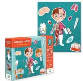 magnetyczny-zestaw-edukacyjny-123-elementow-ludzkie-cialo-dodo